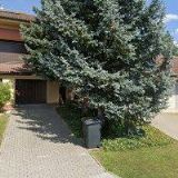 MORAVIA PICTURES s.r.o.