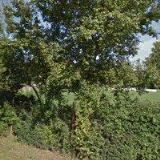 FOTBALOVÝ KLUB SK Měnín