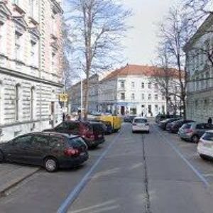 obrazek: avatar PTÁČKOVÁ VLKOVÁ HANA