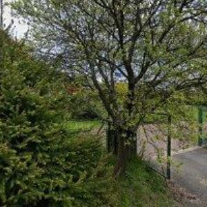 obrazek: avatar ROZMARÍNA