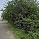 D.L.M.-VELKOOBCHO KOŽENOU GALANTERIÍ