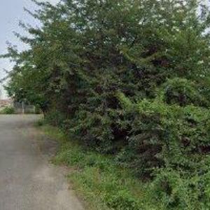 obrazek: avatar D.L.M.-VELKOOBCHO KOŽENOU GALANTERIÍ