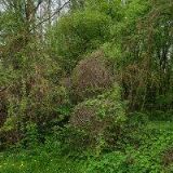 KUŽELKÁŘSKÝ KLUB VYŠKOV, z.s.