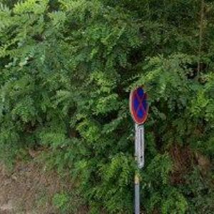 obrazek: avatar TJ Znojmo, z.s.