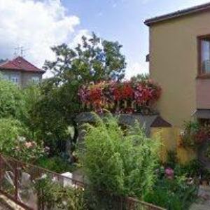 obrazek: avatar OREL JEDNOTA Brno-Lesná