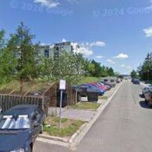 obrazek: avatar ZEMART