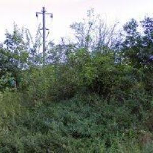 obrazek: avatar OREL JEDNOTA Šardice