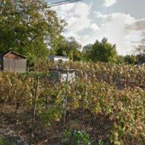 obrazek: avatar WWW.TOSCA BRNO, s.r.o.