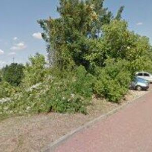 obrazek: avatar TANEČNÍ STUDIO ZAYNAH