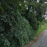 WINNER-TENISOVÁ ŠKOLIČKA