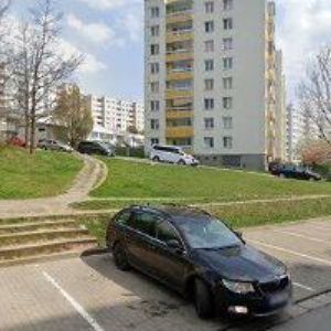 obrazek: avatar BC PREMIERA BRNO, z.s.
