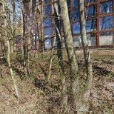 SPORTOVNÍ KLUB BRNO-ŽABOVŘESKY