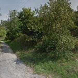 obrazek: avatar SNIAZHANA