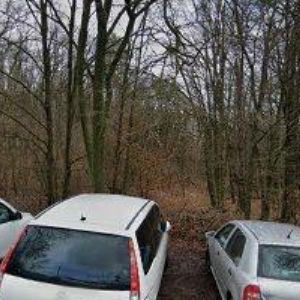 obrazek: avatar TENISOVÝ KLUB TILIA, o.s.