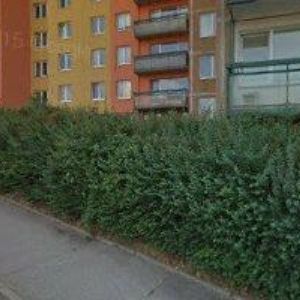 obrazek: avatar BLUE FLAMES BRNO