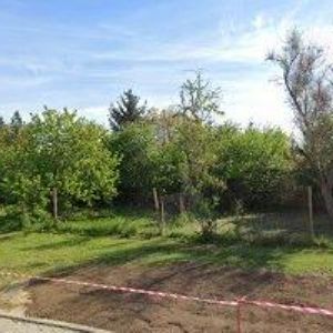 obrazek: avatar RELAX BOŽICE