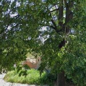 obrazek: avatar ATELIÉR BLAHA