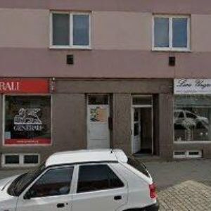 obrazek: avatar ZDRAVÍ U CESTY