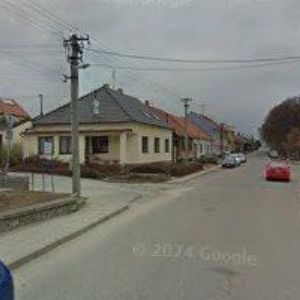 obrazek: avatar ENAPO Holubice