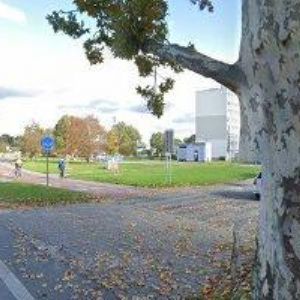 obrazek: avatar ARDEN-STOLAŘSKÉ POTŘEBY s.r.o.