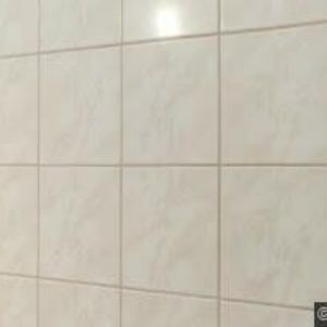 obrazek: avatar STOSS