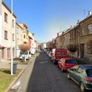 obrazek: avatar WIESNEROVÁ OLGA