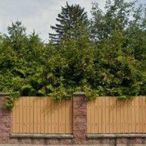 obrazek: avatar TRUHLÁŘSTVÍ GOLIÁŠ