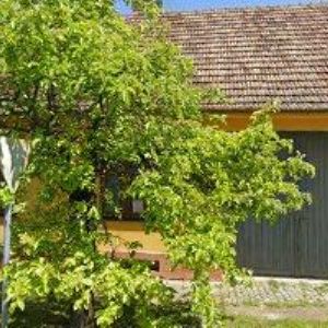 obrazek: avatar MEDOVÉ VÝROBKY