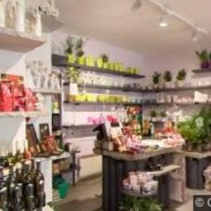 obrazek: avatar U DAMIÁNY