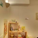 GEŽOVÁ IVA-LÉČIVÉ ROSTLINY