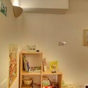 obrazek: avatar GEŽOVÁ IVA-LÉČIVÉ ROSTLINY