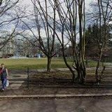 LAMPLOTA MICHAL-STOLAŘSTVÍ