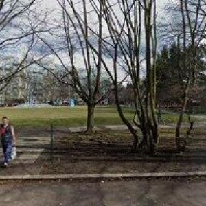 obrazek: avatar LAMPLOTA MICHAL-STOLAŘSTVÍ