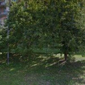 obrazek: avatar HANDY SERVICE s.r.o.