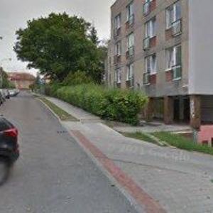 obrazek: avatar INDROVÁ DAGMAR