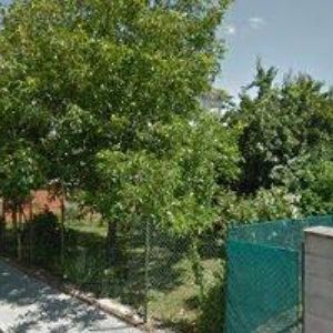 obrazek: avatar OMASTA MIROSLAV