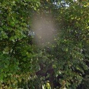 obrazek: avatar POLÁK NÁBYTEK