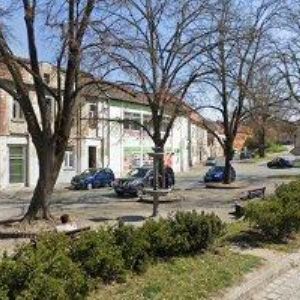 obrazek: avatar SVĚTLÍK ANTONÍN-DROGERIE