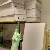 CENTRUM KVĚTINOVÉ VAZBY