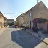 KVĚTINÁŘSTVÍ U ČECHŮ