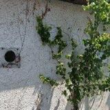 TRUHLÁŘSTVÍ JUŘIČKA