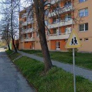 obrazek: avatar LINDOVÁ ANDREA