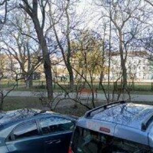 obrazek: avatar BOUDJAOUI MICHEL MVDr.