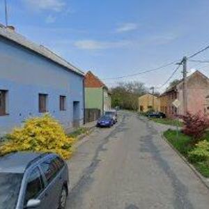 obrazek: avatar LYSOŇKOVÁ JANA