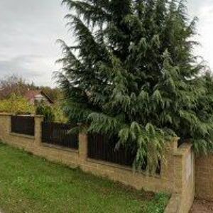 obrazek: avatar EASY FISH