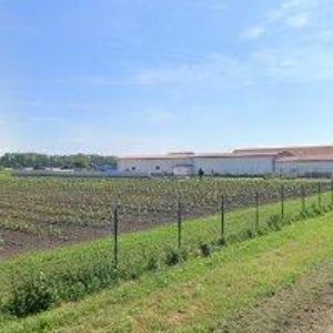 obrazek: avatar MORAVÍNO s.r.o.