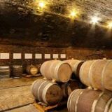 ZÁMECKÉ VINAŘSTVÍ BZENEC