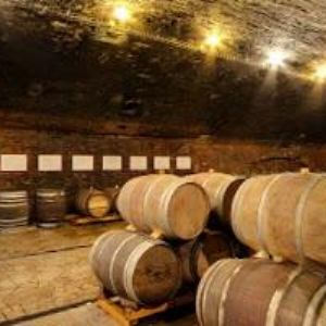 obrazek: avatar VERMI MARKETING s.r.o.