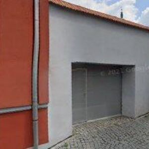 obrazek: avatar ZVEREX