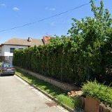 VINAŘSTVÍ HERZÁNOVI